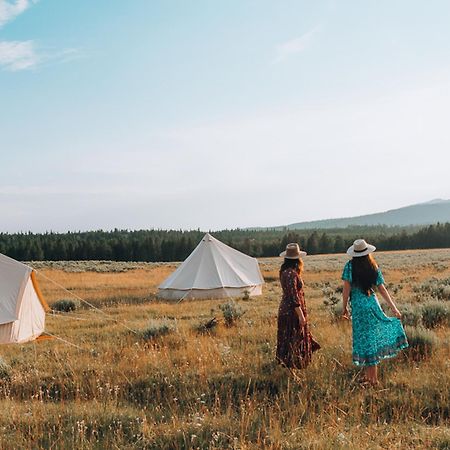 Wander Camp Yellowstone Island Park Dış mekan fotoğraf