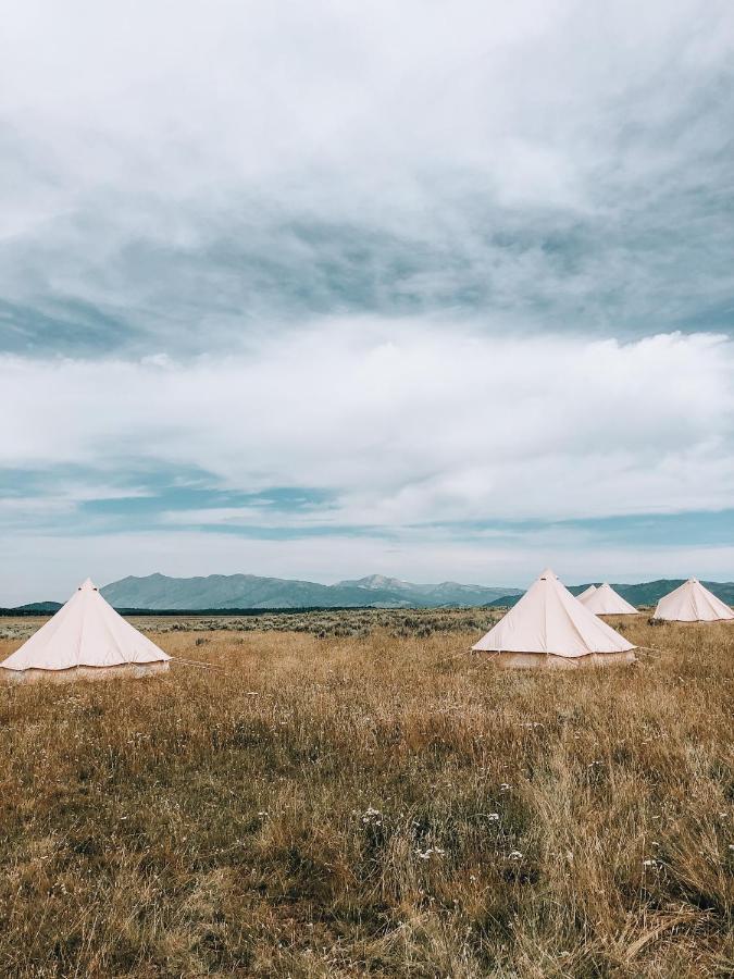 Wander Camp Yellowstone Island Park Dış mekan fotoğraf